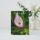 Calla Roll Denken Sie an Sie Postkarte (Stehend Vorderseite)