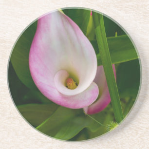 Calla Roll Getränkeuntersetzer