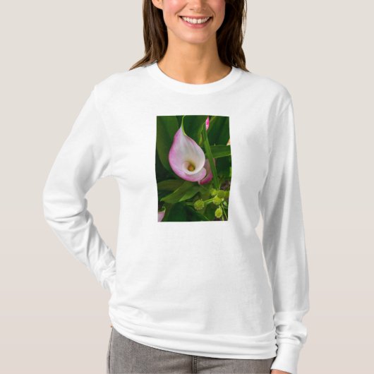 Calla Roll Long Sleeve T - Shirt (Vorderseite)