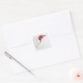 Calla Square Sticker (Umschlag)