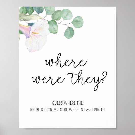 Calla und Eukalyptus - Wo waren sie? Poster (Vorne)