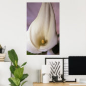 Callalilies Poster (Heimbüro)