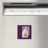 Callalily Magnet (In Situ (Geschirrspüler))