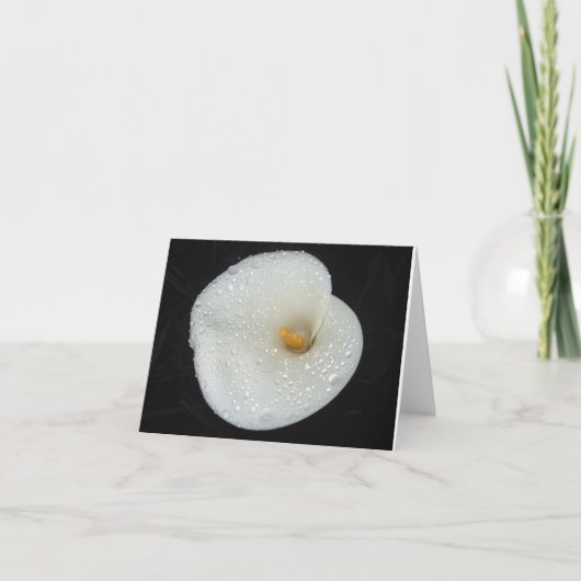 CallaLily nach einer Abendsdusche NoteCard Karte (Vorderseite)