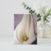 Callalily Postkarte (Stehend Vorderseite)