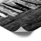 callanish-b&w poster (Ecke)