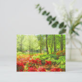 Callaway Azaleas Postkarte (Stehend Vorderseite)