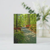 Callaway Gazebo Postkarte (Stehend Vorderseite)