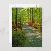 Callaway Gazebo Postkarte (Vorne/Hinten)