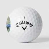 Callaway Golf Warbird Golf Ball (Logo)