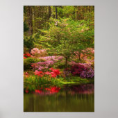 Callaway Landscape Poster (Vorne)