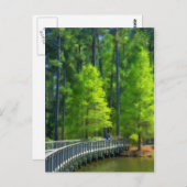 Callaway Landscape Postkarte (Vorne/Hinten)