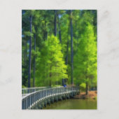 Callaway Landscape Postkarte (Vorderseite)