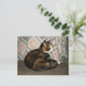 Callie Cat auf Sofa Postkarte (Stehend Vorderseite)