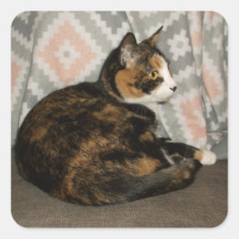 Callie Cat auf Sofa Quadratischer Aufkleber