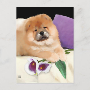CALLIE heARTdog chow postcard Postkarte