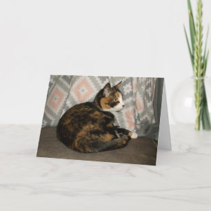 Callie Katze auf Sofa Karte