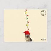Callie Muffin Albern Cat Christmas Postkarte (Rückseite)