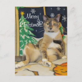 Callie Muffin Albern Cat Christmas Postkarte