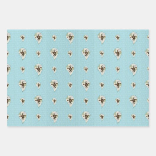 Callie the Sea Turtle Wrapping Paper Set Geschenkpapier Set (Vorderseite)