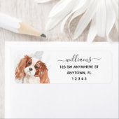 Calligrafie Cavalier King Charles Spaniel Dog (Insitu)