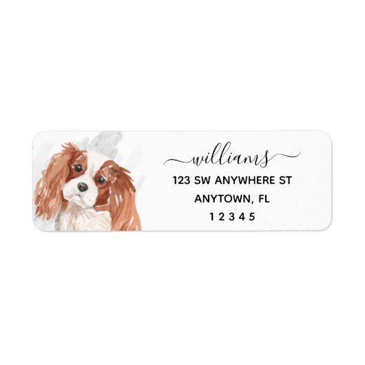 Calligrafie Cavalier King Charles Spaniel Dog (Vorne)