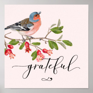 Calligrafie Gratecolor Bird Blume Pink Poster