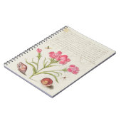 CALLIGRAPHY SPIDER SANTA BLUME ÖFFENTLICHES DOMAIN NOTIZBLOCK (Linke Seite)