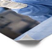 "Calling Dr. Louie!" Poster (Ecke)