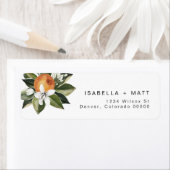 CALLIOPE Citrus Orange Clementine Süsse (Insitu)