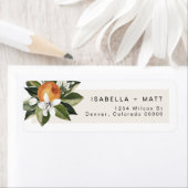 CALLIOPE Citrus Orange Clementine Süsse Anschrift  (Insitu)