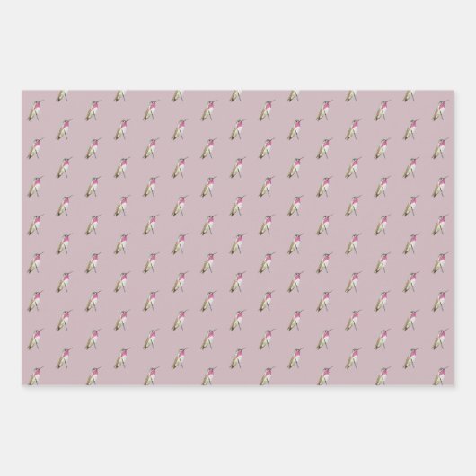 Calliope Hummingbird Geschenkpapier Set (Vorderseite 3)