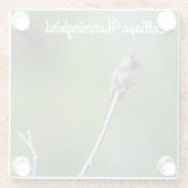 Calliope Hummingbird Glasuntersetzer (Rückseite)