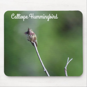 Calliope Hummingbird Mousepad
