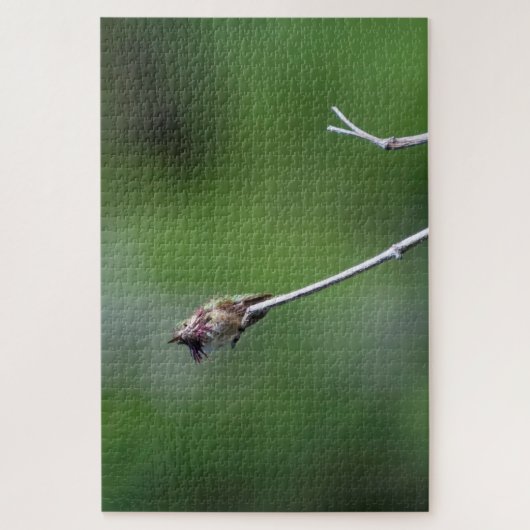 Calliope Hummingbird Puzzle (Vertikal)