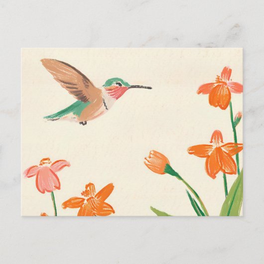 Calliope Hummingbird zeichnend Postkarte (Vorderseite)