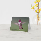 Calliope-Kolibri-Anmerkungs-Karte Karte (Gelbe Blume)