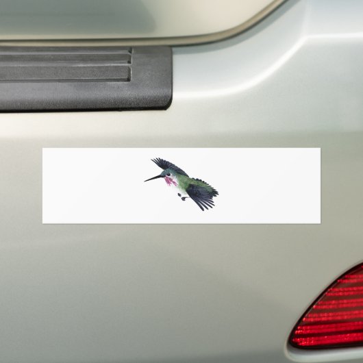 Calliope-Kolibri Autoaufkleber (Auf Auto)