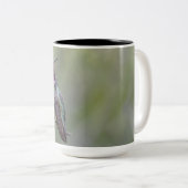 Calliope-Kolibri-große Tasse (VorderseiteRechts)