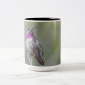 Calliope-Kolibri-große Tasse (Mittel)