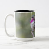 Calliope-Kolibri-große Tasse (Links)