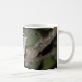 Calliope-Kolibri Kaffeetasse