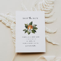 Calliope - Rett der Orangenblüten im Wasser