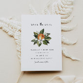 Calliope - Rett der Orangenblüten im Wasser Einladung