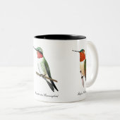 Calliope, Rufous und Ruby-throated Hummingbirds Zweifarbige Tasse (VorderseiteRechts)