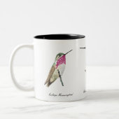 Calliope, Rufous und Ruby-throated Hummingbirds Zweifarbige Tasse (Links)