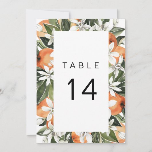 Calliope - tropische Orangefarbene Tischnummer (Vorderseite)
