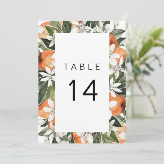 Calliope - tropische Orangefarbene Tischnummer (Stehend Vorderseite)