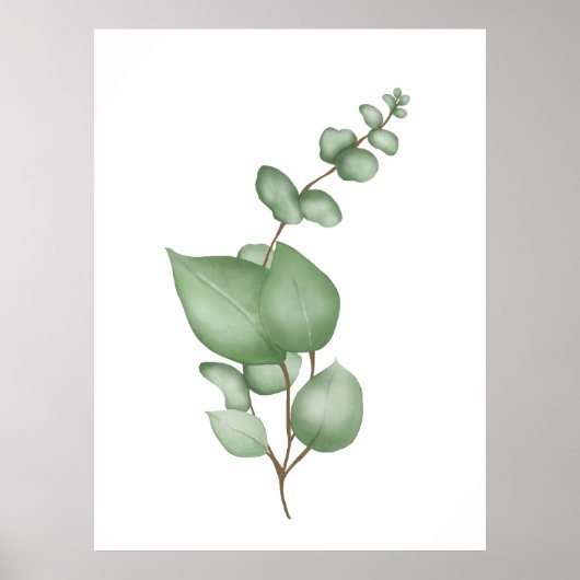 Calm Botanicals Poster - Eukalyptus Leaf Print (Vorne)
