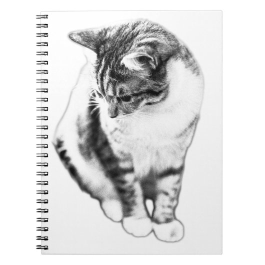 Calm Cat Looking Down Portrait-Notebook Notizblock (Vorderseite)